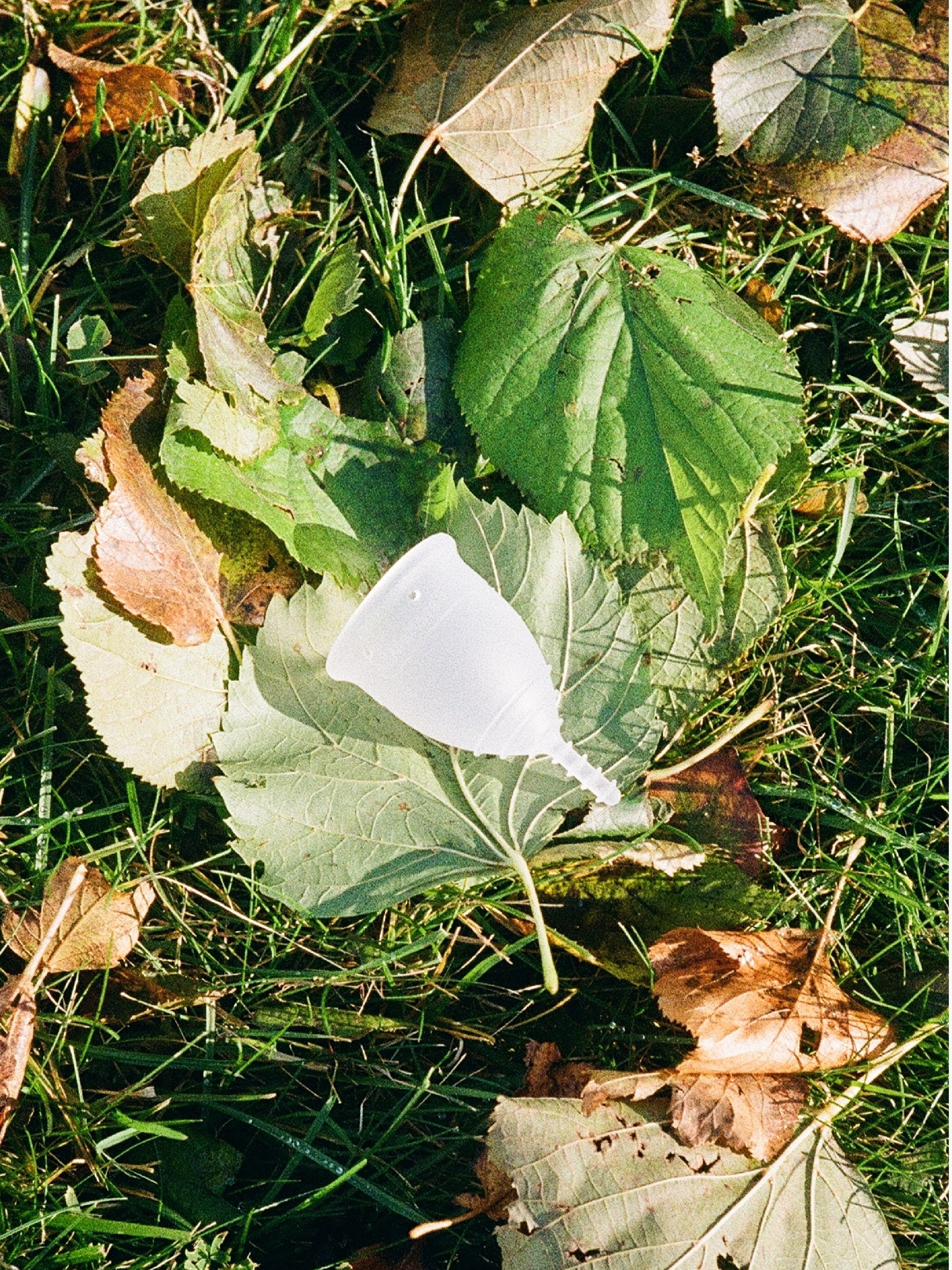 allmatters-organicup-menstruationstasse-wiederverwendbare-periodentasse image 5