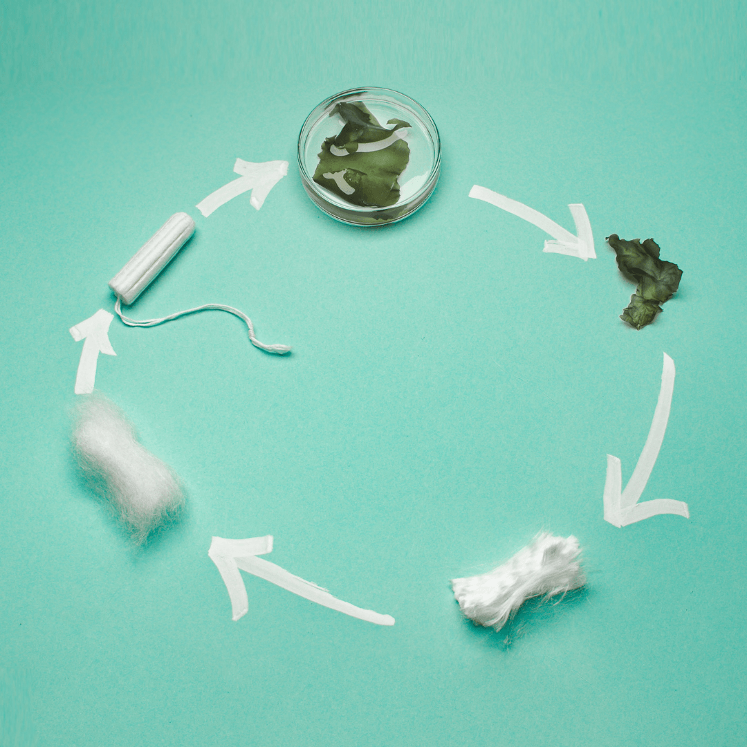 vyld-impact-tangpons-midi-16-tampons-mit-meeresalgen image 2